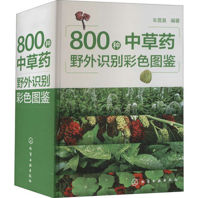 800种中草药野外识别彩色图鉴 车晋滇 编 中药学中药草药相关专业知识图书 医学中医药学类书籍 化学工业出版