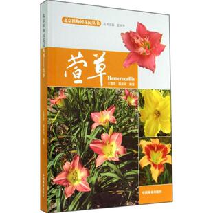 编者 赵世伟 中国林业出版 园艺风景绿化植物教程图书 园林景观规划设计书籍 等 王雪芹 主编 无 萱草