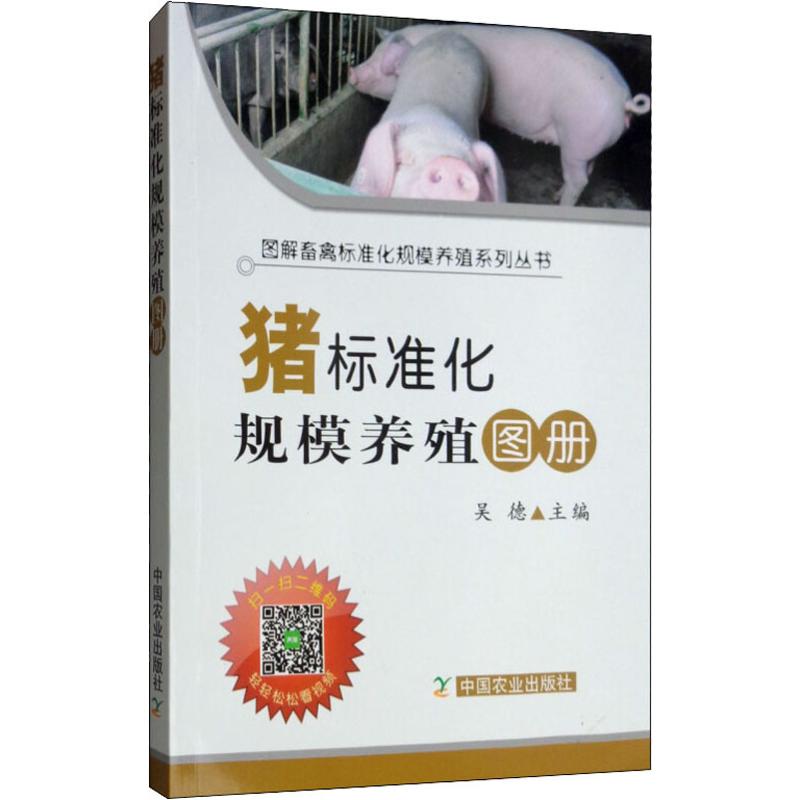 新华书店 全新正版