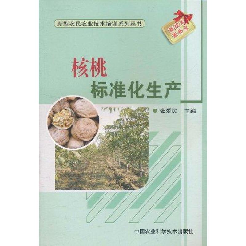 新华书店 全新正版