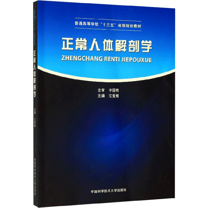 正常人体解剖学 江爱娟 编 医学综合基础知识图书 医学类书籍 中国科学技术大学出版