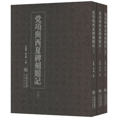 党项与西夏碑刻题记(全3册) 古董文物考古研究图书 专业书籍