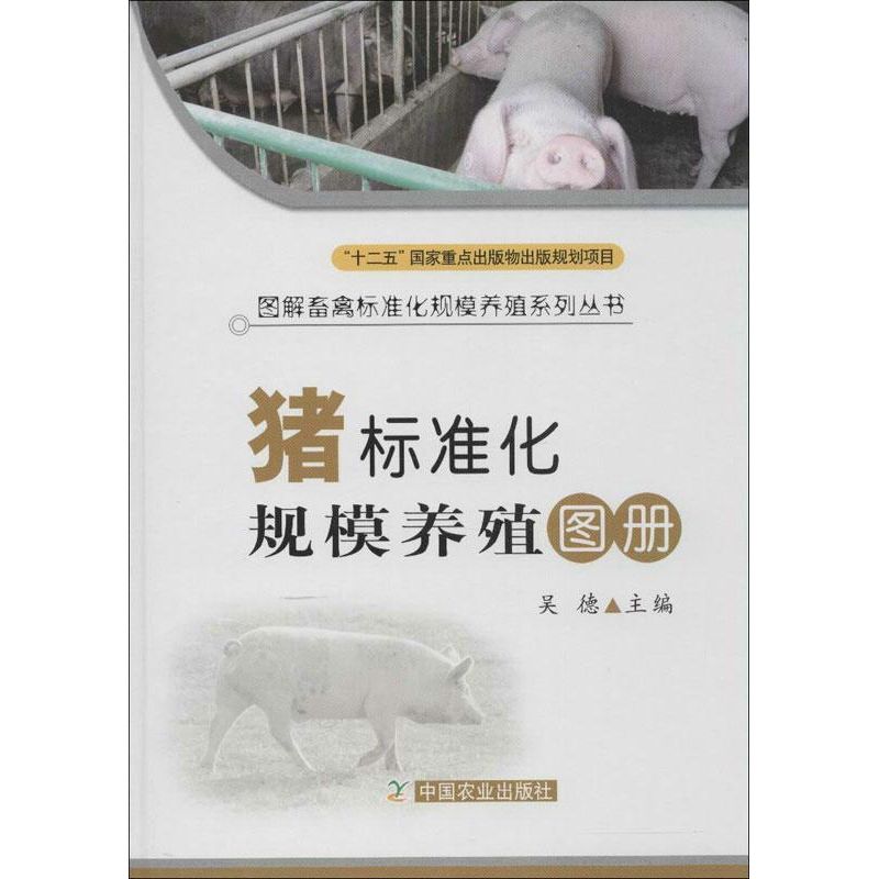 新华书店 全新正版