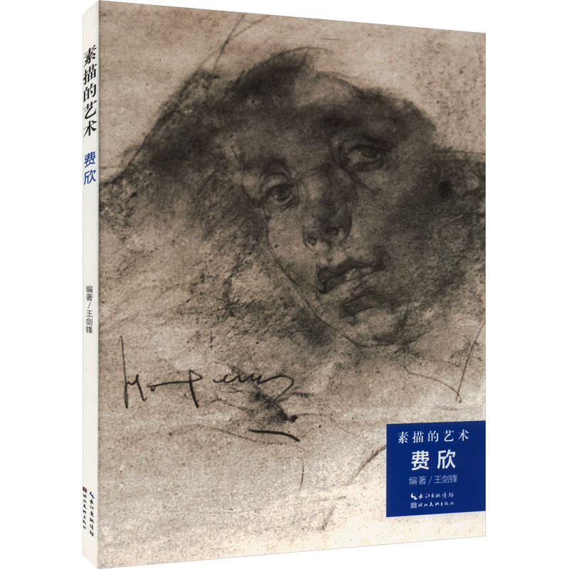 素描的艺术 费欣 王剑锋 编 绘画艺术理论专业书籍 湖北美术出版