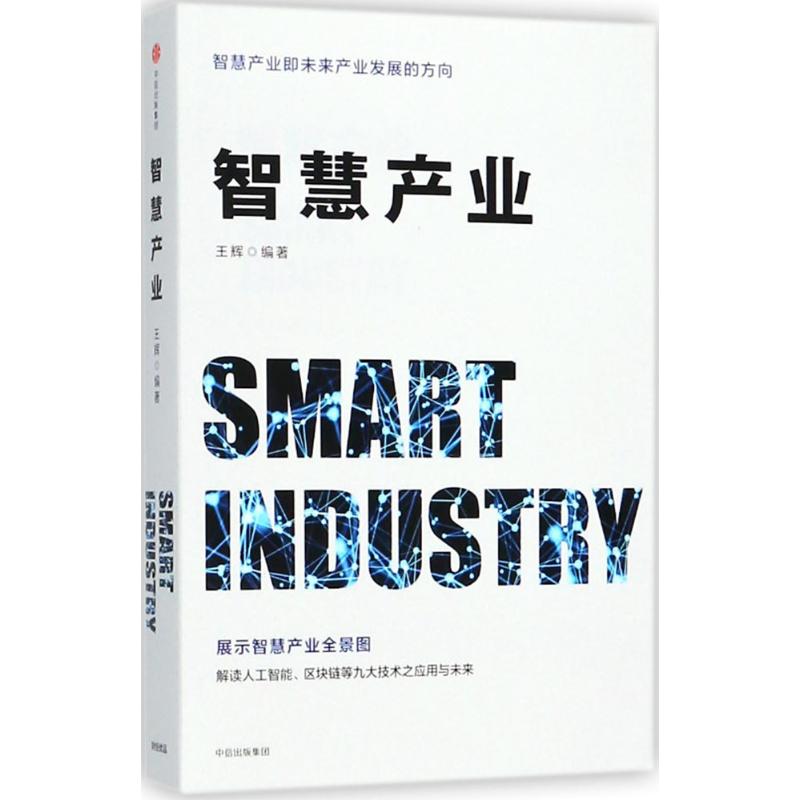 智慧产业 王辉 编著 大众经济学读物 中信出版 专业畅销书籍 正版图书 投资理财