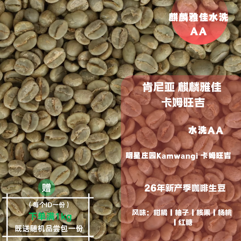 26新产季咖啡生豆 肯尼亚 麒麟雅佳 卡姆旺吉 水洗 AA 咖啡包邮