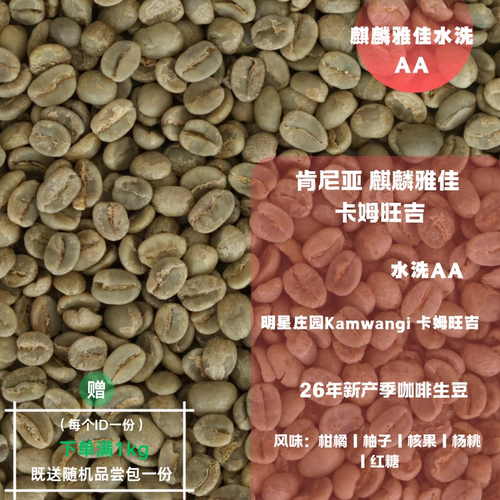 26新产季咖啡生豆 肯尼亚 麒麟雅佳 卡姆旺吉 水洗 AA 咖啡包邮