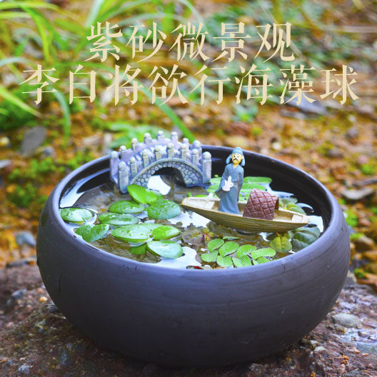 DIY微景观水生植物海藻球苔藓创意龙猫小盆栽浮萍水培植物小鱼缸
