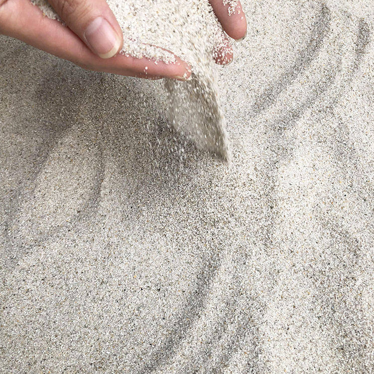 天然白海沙白沙三湖卷贝慈鲷沙鼠鱼寄居蟹底砂鱼缸草缸造景化妆沙