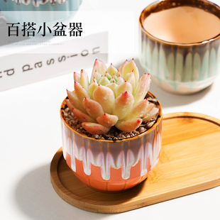 流釉多彩创意多肉专用花盆小号桌面竹托肉肉绿植养眼透气阳台盆栽