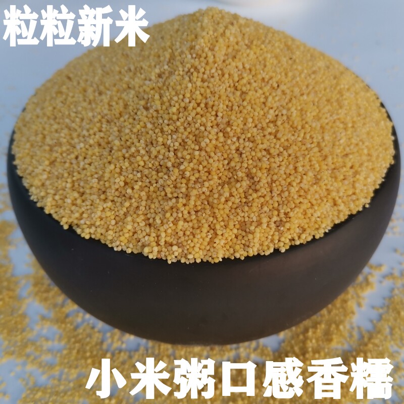 安徽食用农产品黄小米香糯可口