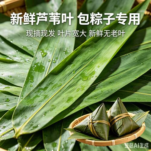 阜阳芦苇叶端午包粽子现摘现发