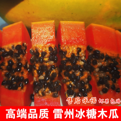 新鲜现摘包邮雷州冰糖木瓜