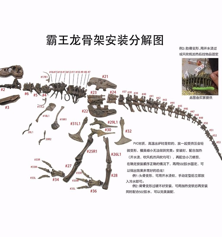 拼装恐龙化石组装玩具考古摆件64节骨架超大型70cm挖掘霸王龙涂鸦
