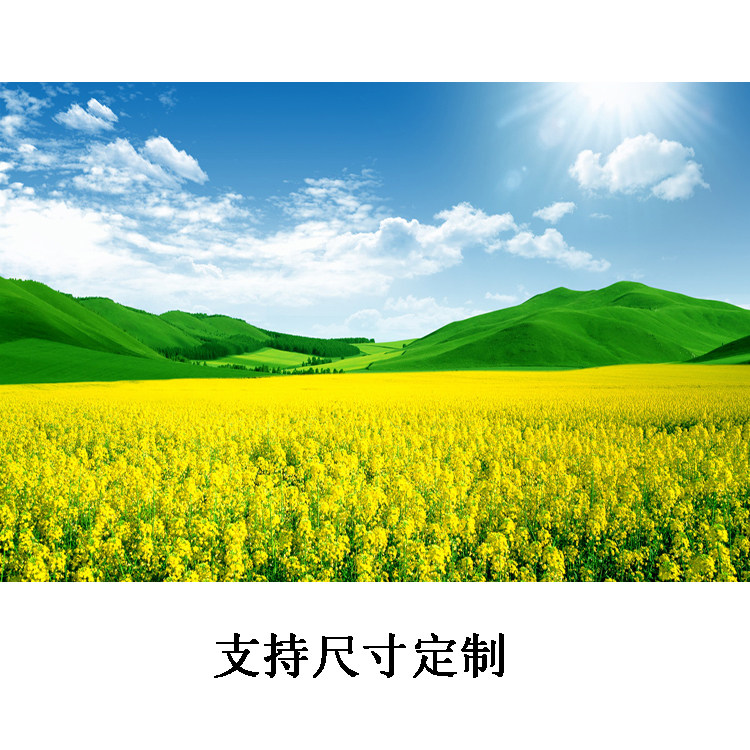 蓝天白云油菜花画卧室书房客厅沙发背景墙装饰画田园风光玄关贴画