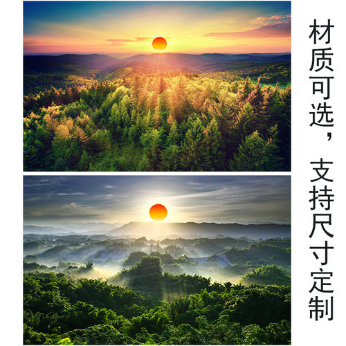 森林无水红太阳客厅卧室风景画