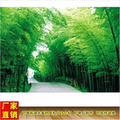 竹林竹叶林荫小道竹林风景画绿色护眼画新款 饰画 竹报平安墙贴装