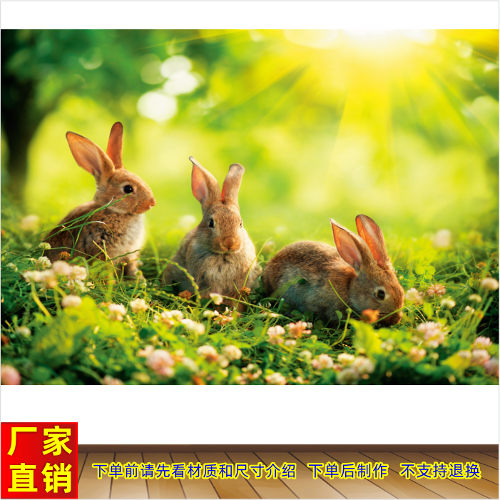 小白兔灰兔儿童房可爱动物墙贴画早教中心墙壁装饰画贴画兔子海报