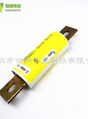 LPJ-100SP 进口保险丝 延时熔断器 100A 600V 原装正品