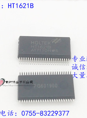 全新 HT1621B SSOP-48 RAM映射 LCD驱动器 液晶芯片
