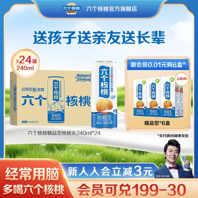 六个核桃植物蛋白核桃乳24罐装