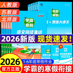 2026新版经纶学霸的寒假衔接作业一二三四五六年级上下册全套人教版苏教北师语文阅读集训小学数学计算题思维大通关练习册预复习