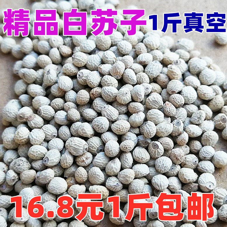 白苏子芙蓉鸟金丝雀大颗粒