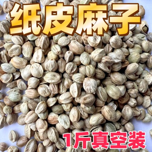 纸壳麻子鹦鹉粮小太阳和尚训练奖励零食牡丹玄凤麻籽鸟粮饲料鸟食