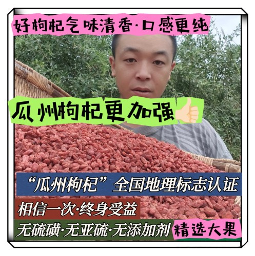 小袁】河西走廊瓜州枸杞头茬（大颗粒）纯正肉厚无亚硫无科技500g - 封面