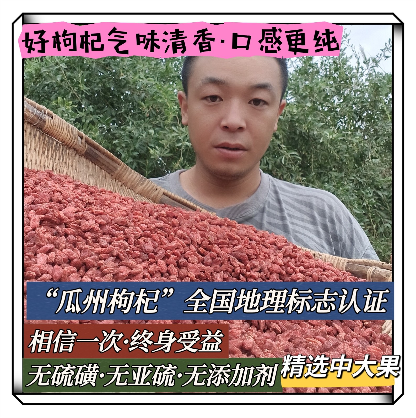 小袁】河西走廊瓜州枸杞头茬（中颗粒）肉厚无亚硫无科技1000g