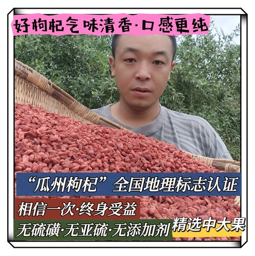 小袁】河西走廊瓜州枸杞头茬（中颗粒）肉厚无亚硫无科技1000g - 封面