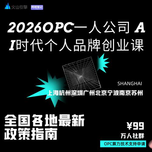 2026OPC一人公司 低门槛副业启动与快速变现   副业赚钱教程