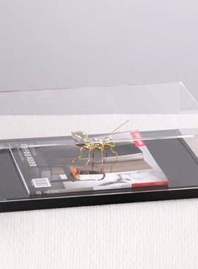 样板间软装饰品几何方形透明亚克力展示柜罩子保护防尘博古架摆件