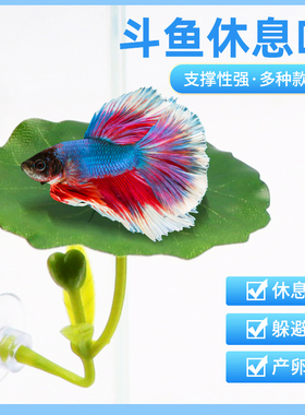 斗鱼栖休息躲避叶产卵荷叶子仿真水草树叶睡觉床鱼缸造景装饰摆件