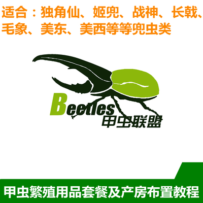 大兜虫类繁殖产房布置教程适用于长戟南洋姬兜独角仙战神毛象亚克