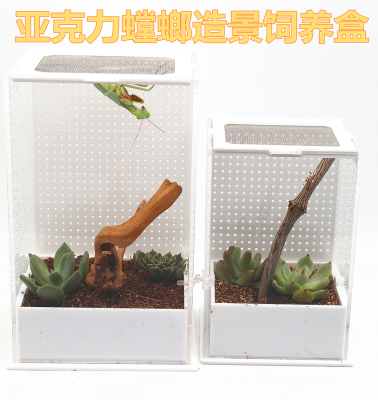 螳螂盒亚克力昆虫饲养盒爬虫螳螂别墅养蜘蛛螳螂螽斯等各种鸣虫
