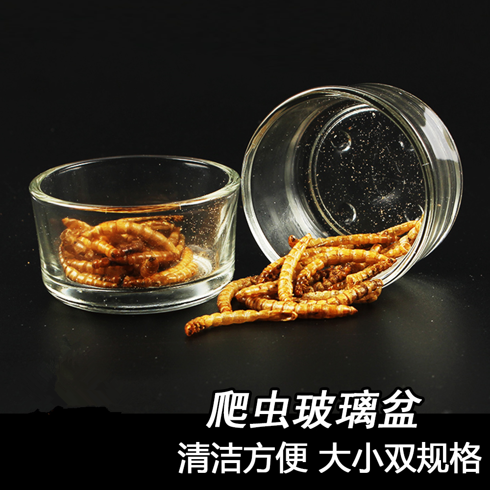 爬虫玻璃盆爬宠透明水盆食盆蜘蛛蝎子豹纹守宫清洁方便造景玻璃杯