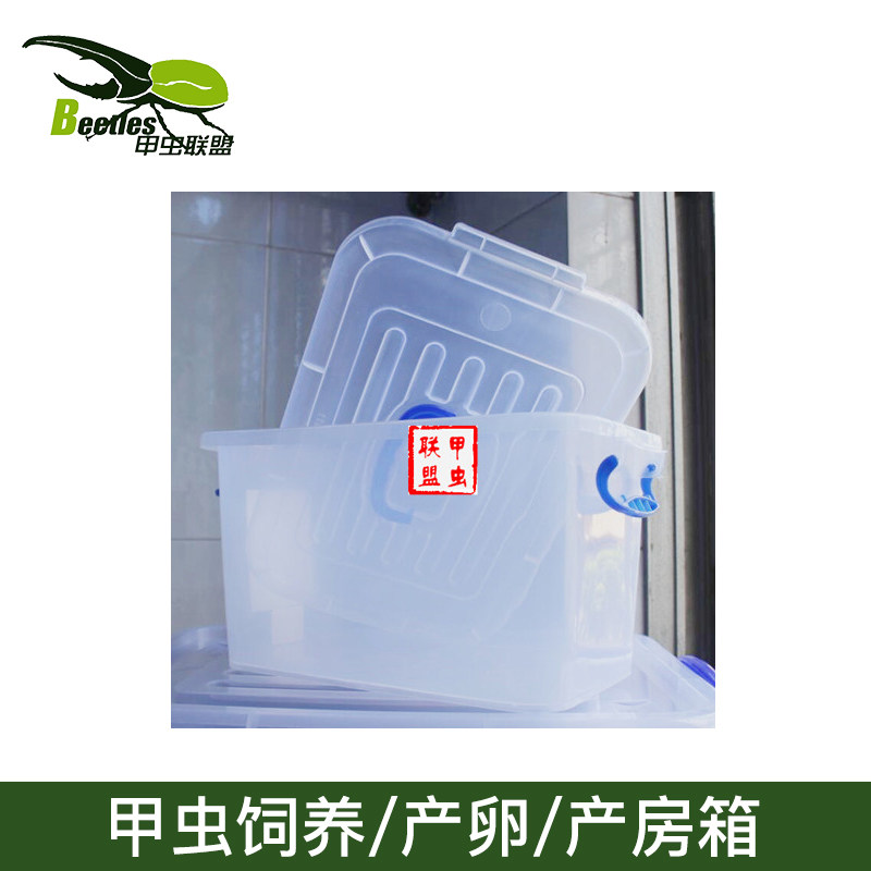 甲虫幼虫饲养箱加厚10升20升整理箱宠物甲虫独角仙成虫产卵箱产房