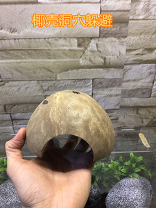 爬虫爬宠躲避洞穴屋椰壳豹纹守宫蜘蛛蝎子甲虫亚克力饲养箱盒造景