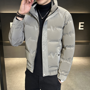 白鸭绒立领羽绒服保暖男2025年新款冬季男士外套3997 P100,男装羽绒服,星座1411A