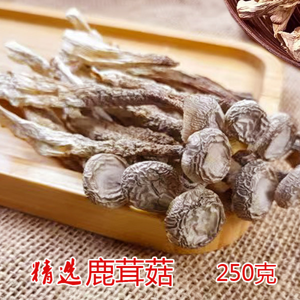 鹿茸菇精品神农架深山蘑菇菌类山珍煲汤滋补鲜嫩脆菇500g包邮