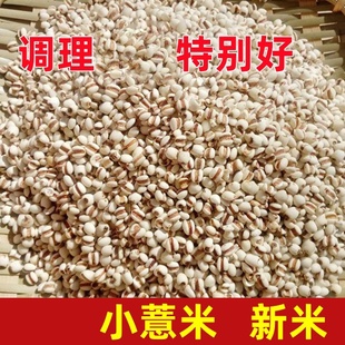 精选纯正农家自种小粒薏米薏仁米薏米仁健康祛湿五谷杂粮新货250g
