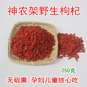 枸杞深山野外生长非种植大粒天然神农架特优干货无硫原生态红枸杞