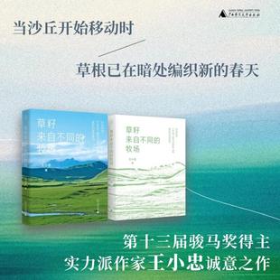 牧场 自然风光散文书籍广西师范大学出版 藏地题材 牧区生活实录 社 生态纪实文集 2025年草籽来自不同