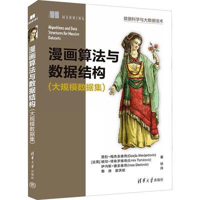 漫画算法与数据结构(大规模数据集)人工智能清华大学出版社(波黑)黛拉·梅杰多维奇 (波黑)埃明·塔希罗维奇 著 郭涛 袁洪斌 译