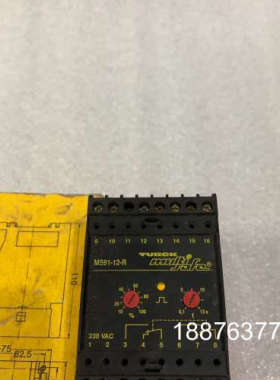 TURCK 图尔克安全继电器MS91-12-R AC230V