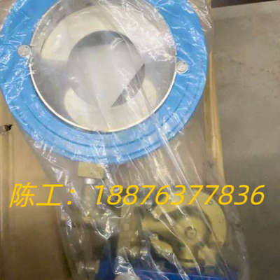 全新ELETTA艾丽塔流量监测器，型号V1-PC03125-议价