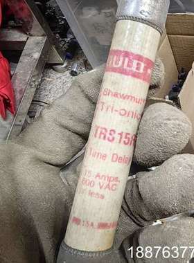 GOULD TRS15R 熔断器 保险管 拆机件，50一个议价