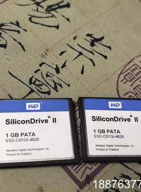 WD SiliconDrive ll  CF卡 1GB 内存议价