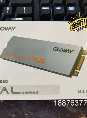 全新未开封光威（Gloway）1TB SSD固态硬盘｜M.2